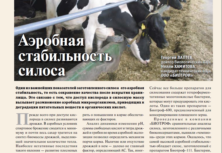 Аэробная стабильность силоса