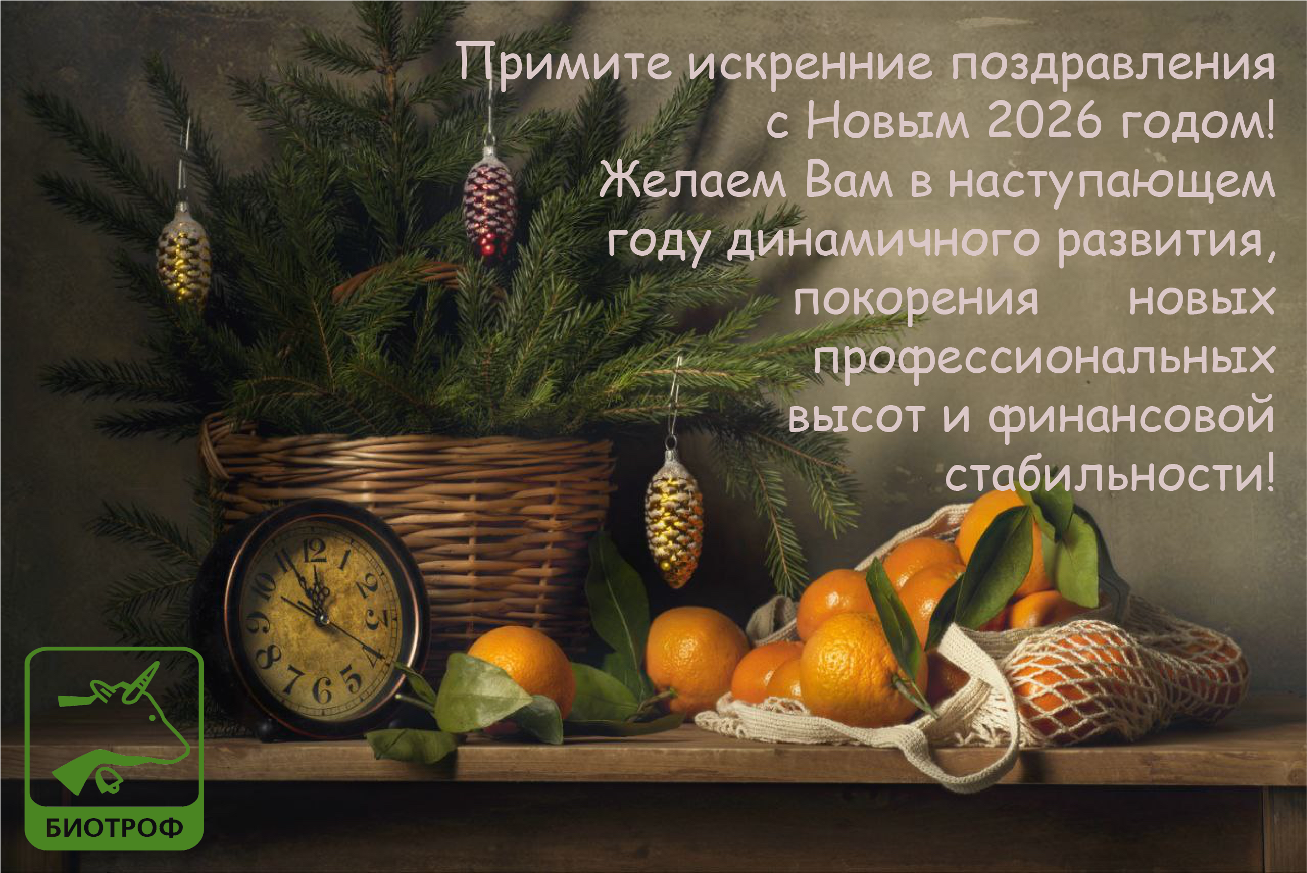 Дорогие друзья! От всей души поздравляем Вас с наступающим Новым годом и Рождеством! 