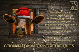 Дорогие друзья! Сердечно поздравляем Вас с праздниками — Новым годом и Рождеством