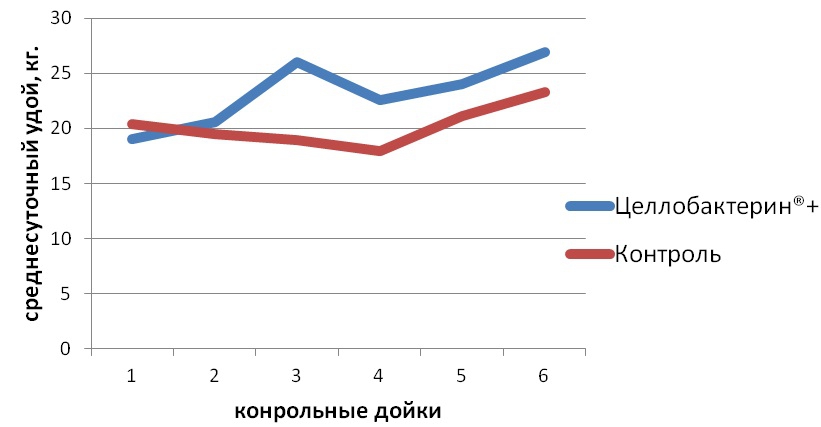 gr2.jpg gr2.jpg